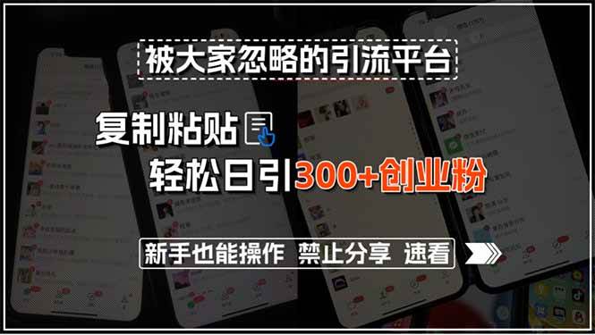 （15428期）被大家忽略的引流平台，复制粘贴轻松日引300+创业粉，新手也能操作，禁…-梦帆创业网