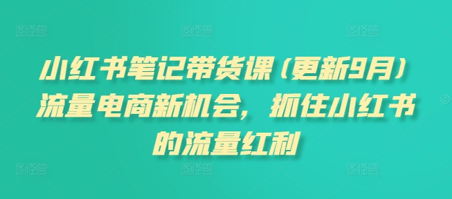 小红书笔记带货课(更新9月)流量电商新机会，抓住小红书的流量红利-梦帆创业网