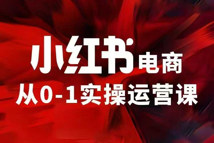 小红书电商运营，97节小红书vip内部课，带你实现小红书赚钱-梦帆创业网