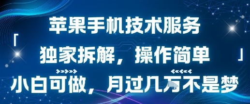 苹果手机技术服务，独家拆解，操作简单，小白可做，月过1W不是梦-梦帆创业网