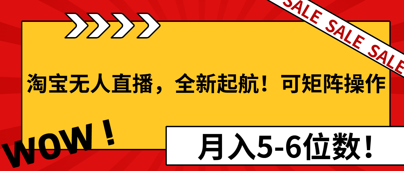 （13946期）淘宝无人直播，全新起航！可矩阵操作，月入5-6位数！-梦帆创业网