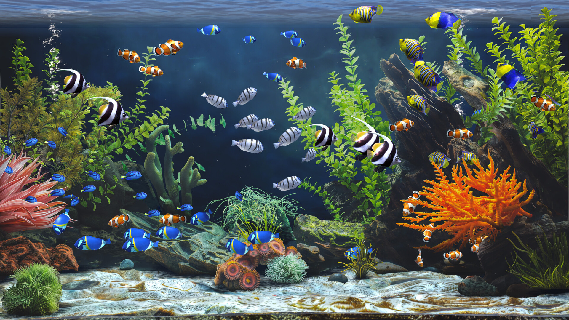 禅意水族馆/Zen Aquarium-梦帆创业网