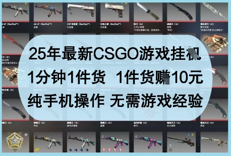 25年最新CSGO游戏挂G，1分钟1件货，1件货挣10元，纯手机操作，无需游戏经验【揭秘】-梦帆创业网