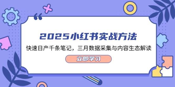 2025小红书实战方法，快速日产千条笔记，三月数据采集与内容生态解读-梦帆创业网