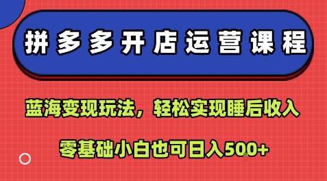拼多多开店运营课程：蓝海变现玩法，轻松实现睡后收入，零基础小白也可日入5张-梦帆创业网