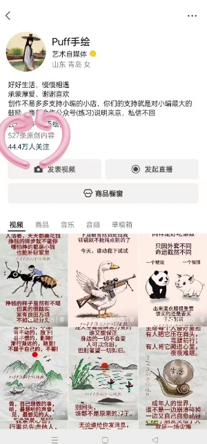 Puff手绘视频号分成项目，三天过分成计划，简单易上手，适合新手-梦帆创业网