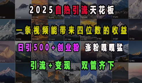 2025自热引流天花板，一条视频能带来四位数的收益，引流+变现双管齐下，日引500+创业粉，涨粉嘎嘎猛-梦帆创业网
