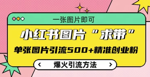 小红书图片‘求带’爆火引流法，单张图片引流500+精准创业粉【揭秘】-梦帆创业网