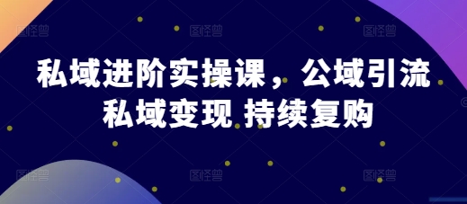 私域进阶实操课，公域引流 私域变现 持续复购-梦帆创业网