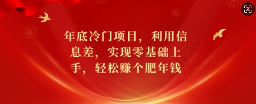 年底冷门项目，利用信息差，实现零基础上手，轻松赚个肥年钱【揭秘】-梦帆创业网
