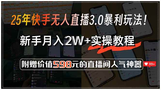（15335期）25年快手无人直播3.0暴利玩法！，新手月入2W+实操教程，附赠价值598元…-梦帆创业网