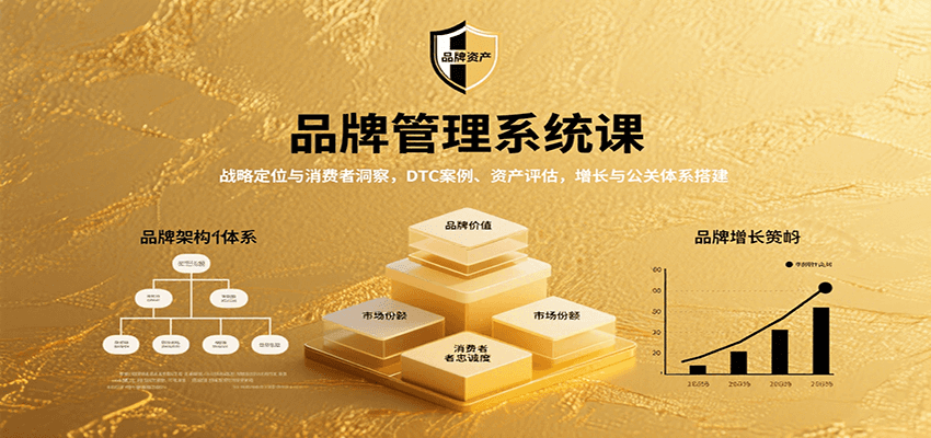 品牌管理系统课：战略定位与消费者洞察，DTC案例、资产评估，增长与公关体系搭建-梦帆创业网