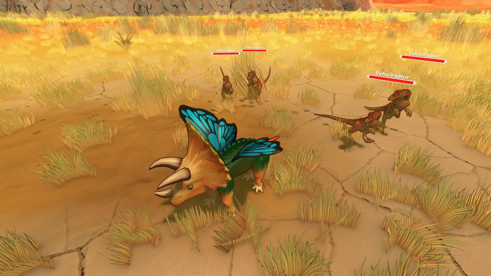 奇异种子/Strange Seed-梦帆创业网