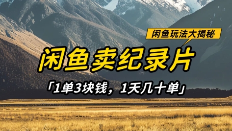 闲鱼卖纪录片1单3块钱，1天几十单，项目稳定有潜力-梦帆创业网