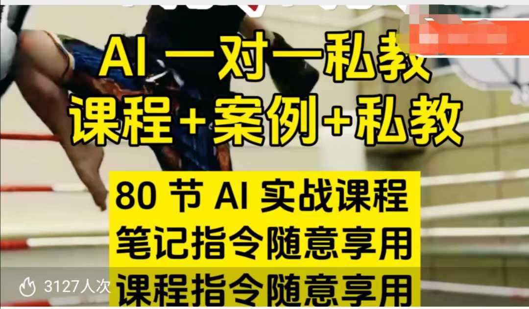 AI指令实战课，课程+案例，80节AI实战课程，笔记指令随意享用，课程指令随意享用（更新7月）-梦帆创业网