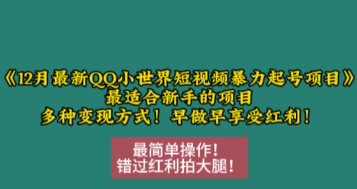 12月最新QQ小世界短视频暴力起号项目，最适合新手的项目，多种变现方式-梦帆创业网