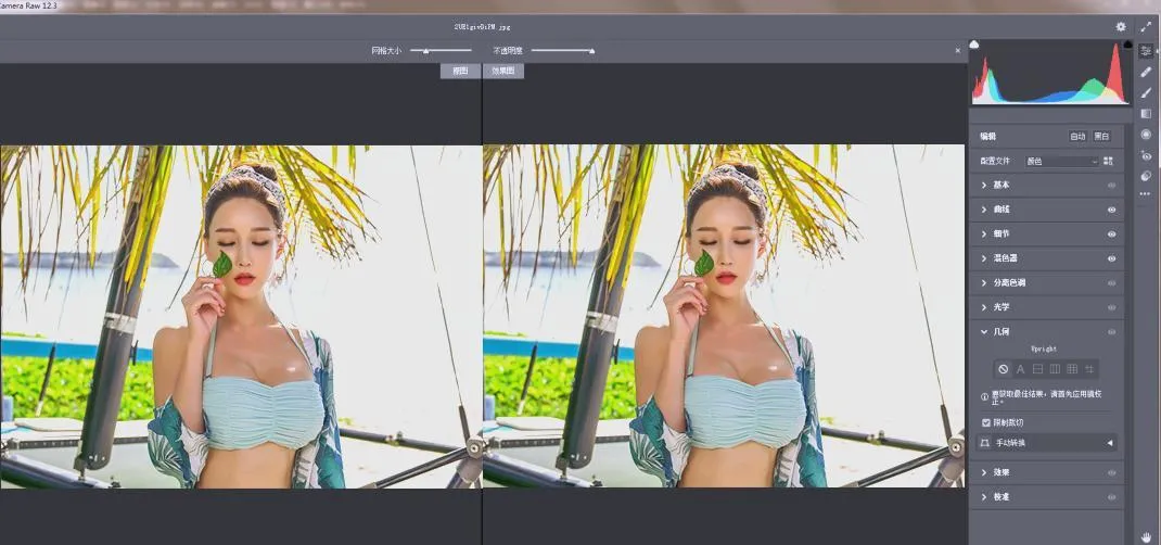 RAW处理Adobe Camera Raw v18.3.0中文版-梦帆创业网