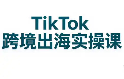 彭老师·TikTok跨境出海实操课-梦帆创业网