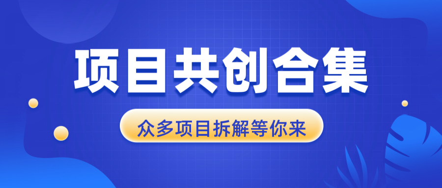 （13778期）项目共创合集，从0-1全过程拆解，让你迅速找到适合自已的项目-梦帆创业网