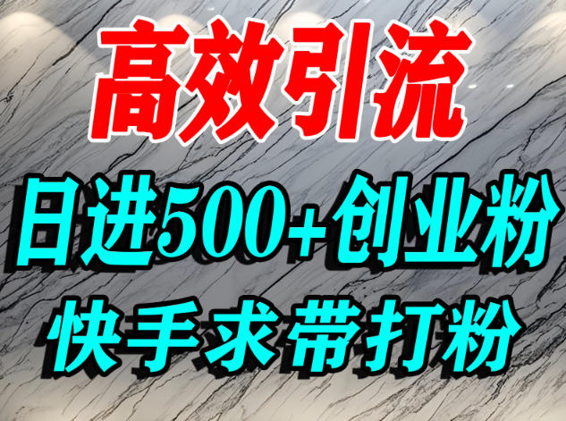 怎么打创业粉？快手求带视角精准引流创业粉，宝妈、学生群体日进500+精准流量-梦帆创业网