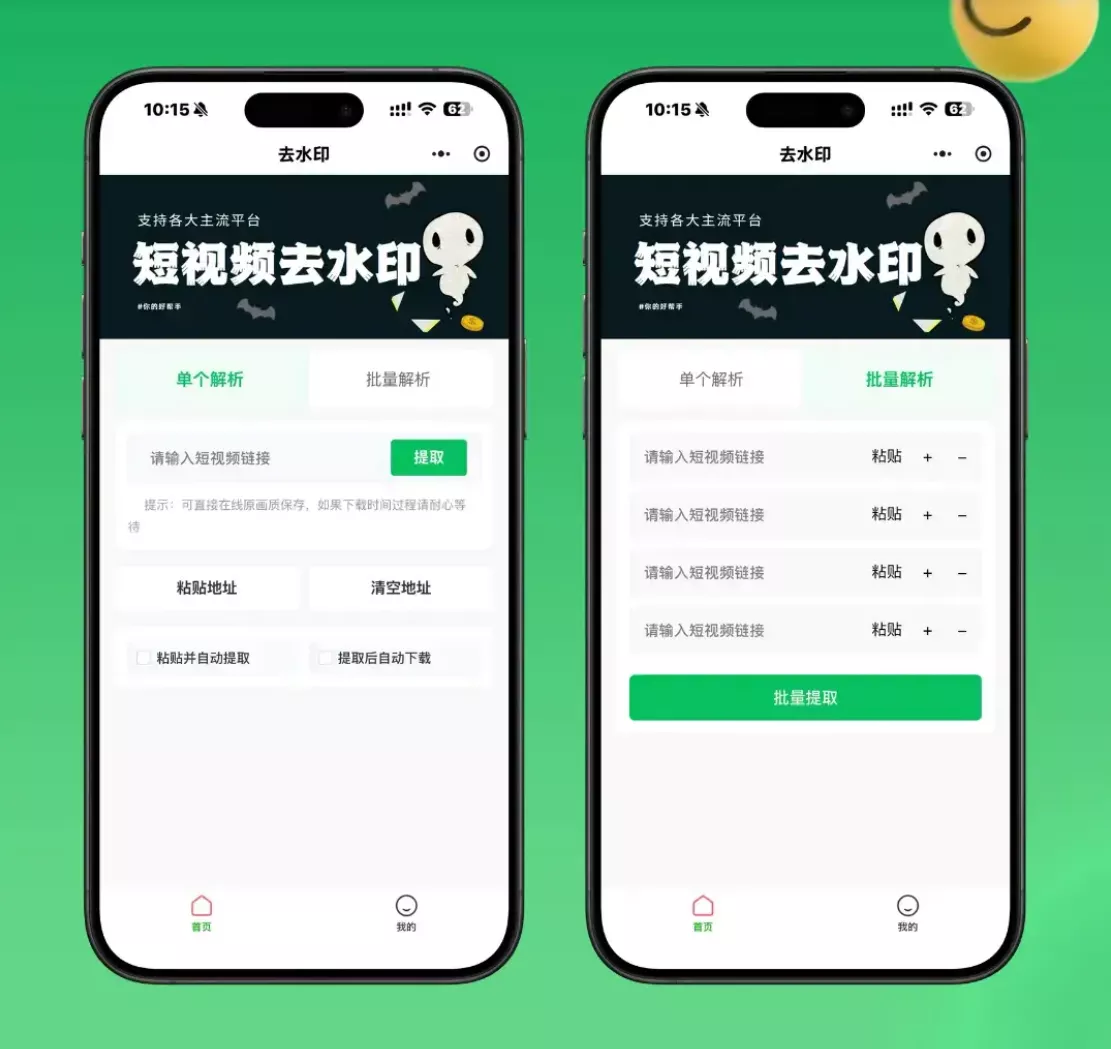 2026最新去水印小程序源码 v1.6.5 带流量主-梦帆创业网