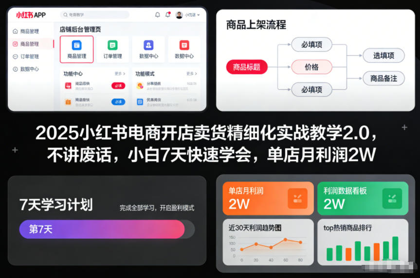 2025小红书电商开店卖货精细化实战教学2.0，不讲废话，小白7天快速学会，单店月利润2W-梦帆创业网