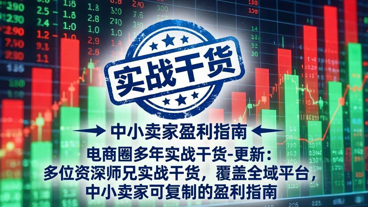 （19447期）电商圈多年实战干货-更新2026：多位资深师兄实战干货/覆盖全域平台，中小卖家可复制的盈利指南-梦帆创业网