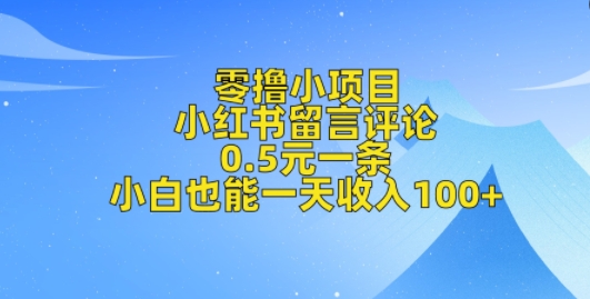 零撸小项目，小红书留言评论，0.5元一条，小白也能一天收入100+-梦帆创业网