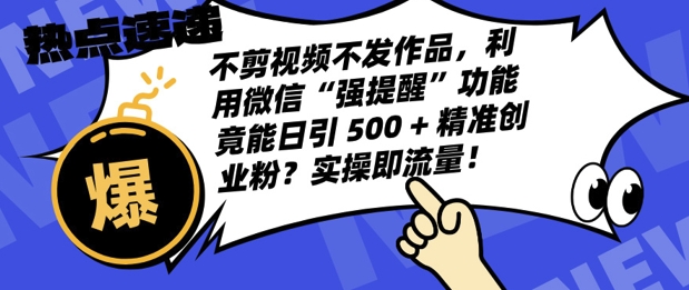 不剪视频不发作品，视频号私信日引 500 + 精准创业粉?实操即流量!-梦帆创业网
