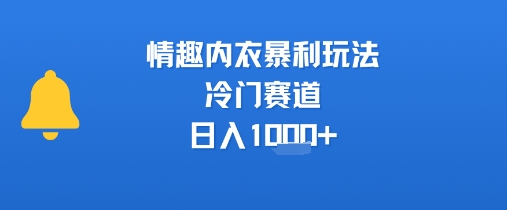 情趣内衣暴利玩法，冷门赛道，日入1k+-梦帆创业网