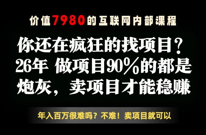 26年请不要疯狂的找项目了，卖项目远比你想象的暴利，你也可以月入10W+【揭秘】-梦帆创业网