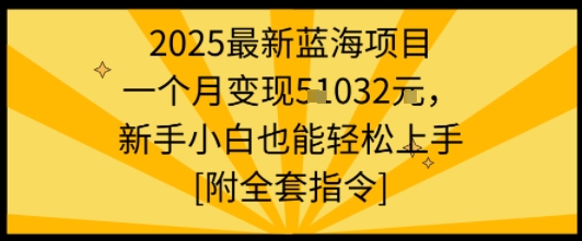 2025最新蓝海项目一个月变现1w+新手小白也能轻松上手【附全套指令】-梦帆创业网