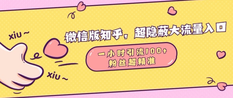 微信版知乎，超隐蔽流量入口1小时引流100人，粉丝质量超高【揭秘】-梦帆创业网