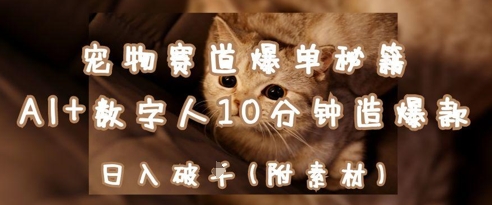 宠物赛道爆单秘籍：AI+数字人10分钟造爆款，日入1k-梦帆创业网