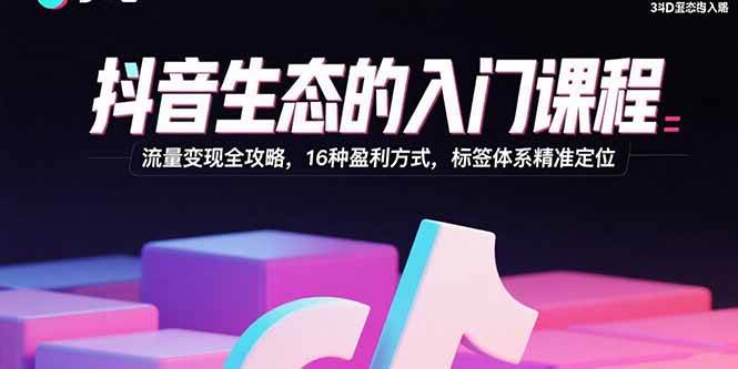 （15856期）抖音生态的入门课程：流量变现全攻略，16种盈利方式，标签体系精准定位-梦帆创业网