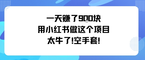 一天挣了9张用小红书做这个项目太牛了，空手套-梦帆创业网