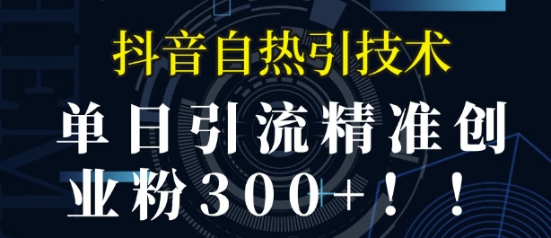 抖音自热引流，单日引流精准创业粉300+-梦帆创业网
