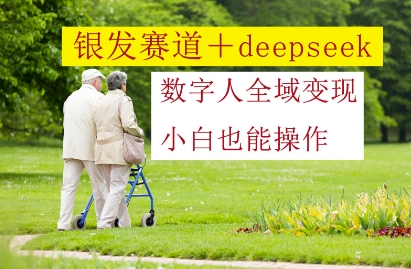 银发赛道+deepseek数字人全域变现，小白也能操作-梦帆创业网