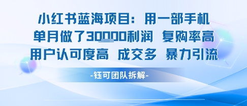 小红书蓝海项目，一部手机单月做了3W利润，小白也能月入过1W用户认可度高成交多-梦帆创业网