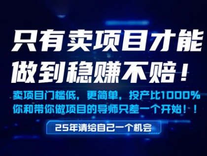 只有卖项目才能做到稳挣不赔，门槛低，更简单，你也可以年入百个W【揭秘】-梦帆创业网