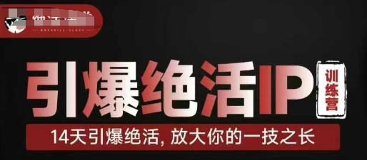 引爆绝活IP训练营，14天引爆绝活，放大你的一技之长-梦帆创业网