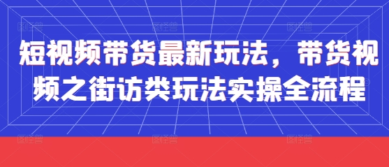 短视频带货最新玩法，带货视频之街访类玩法实操全流程-梦帆创业网