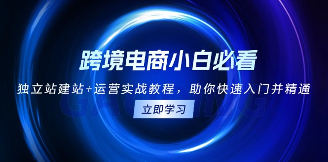 （13503期）跨境电商小白必看！独立站建站+运营实战教程，助你快速入门并精通-梦帆创业网