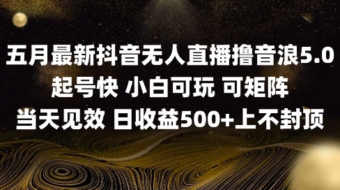 2025五月最新无人直播撸音浪单日产出5张+实操教程【揭秘】-梦帆创业网