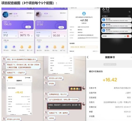 当天能收益的3个小项目拆解_包括平台+操作流程-梦帆创业网
