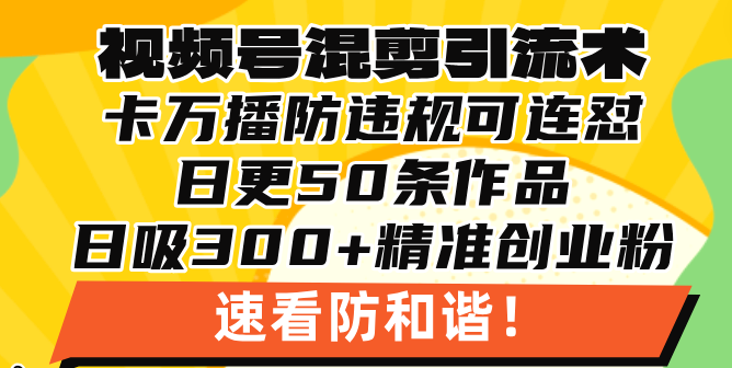 （13400期）视频号混剪引流技术，500万播放引流17000创业粉，操作简单当天学会-梦帆创业网