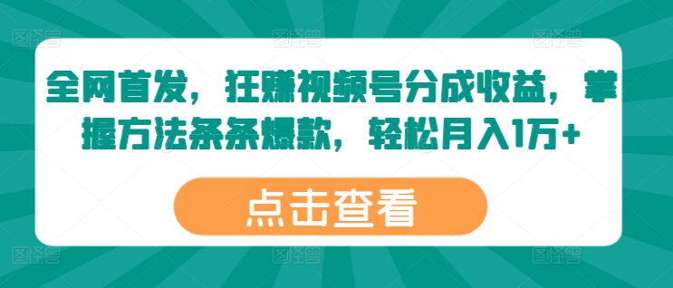 全网首发，狂赚视频号分成收益，掌握方法条条爆款，轻松月入1万+-梦帆创业网