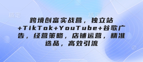 跨境创富实战营，独立站+TikTok+YouTube+谷歌广告，经营策略，店铺运营，精准选品，高效引流-梦帆创业网