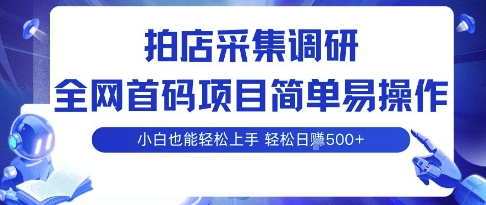 拍店采集调研，全网首码项目，简单易操作， 小白也能轻松上手，多账号操作，轻松日入5张【揭秘】-梦帆创业网
