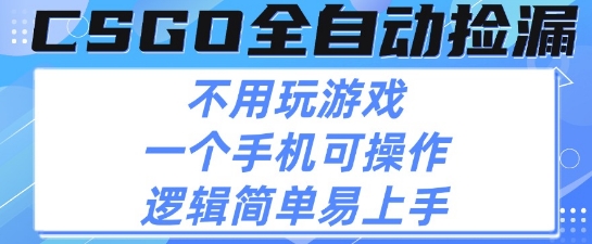 CSGO自动捡漏项目，最新独家玩法，不用挂G不用玩游戏，一个手机即可操作，新手小白轻松月入1W+【揭秘】-梦帆创业网